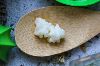 Økologiske kefirkorn – startkultur for hjemmelaget kefir