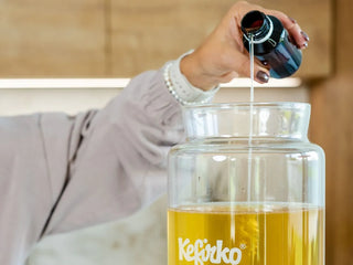 kombucha scoby norge