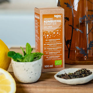 kombucha starter